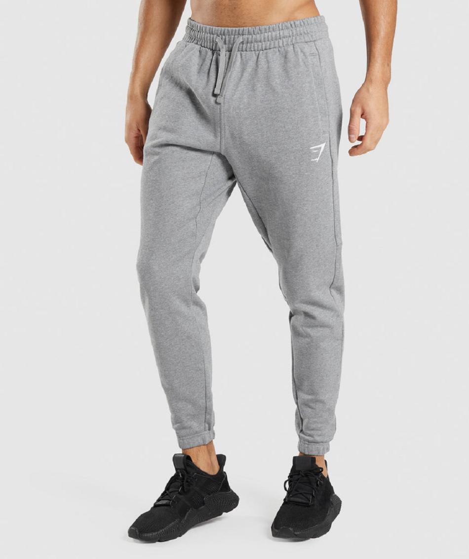 Gymshark Essential Muške Jogger Hlače Sive | HR 2960ZUT